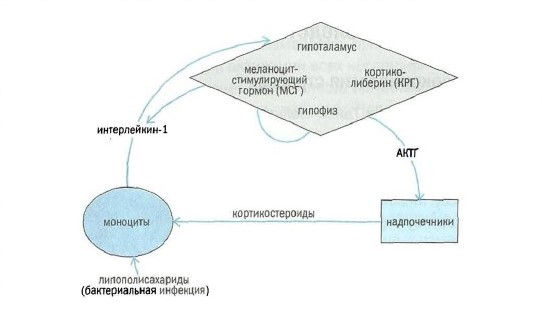 Как справиться с хроническим стрессом